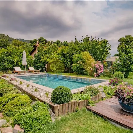 Villa Splendid Villa With Private Pool And Shared Orchard In Fethiye *