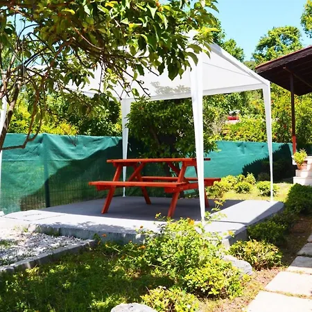 Splendid Villa With Private Pool And Shared Orchard In Fethiye *
