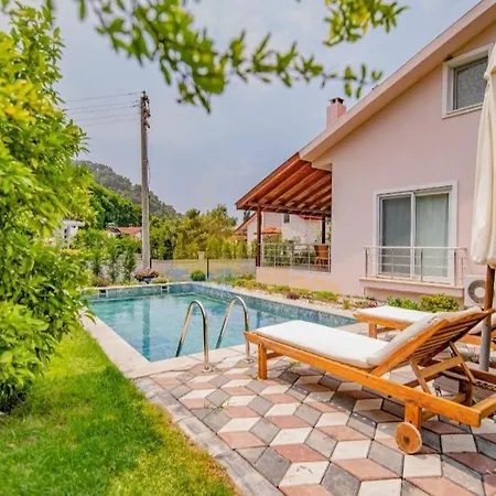 Splendid Villa With Private Pool And Shared Orchard In Fethiye Villa